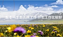 一般本科生怎么找工作 什么工作比较好