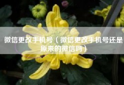 微信更改手机号（微信更改手机号还是原来的微信吗）