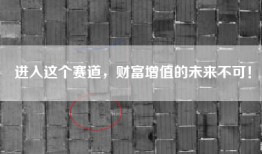 进入这个赛道，财富增值的未来不可！