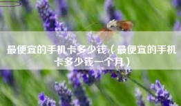 最便宜的手机卡多少钱（最便宜的手机卡多少钱一个月）