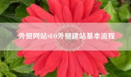 外贸网站SEO外贸建站基本流程