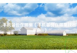 手机备份在哪里（手机备份在哪里找出来oppo）