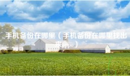 手机备份在哪里（手机备份在哪里找出来oppo）