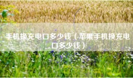 手机换充电口多少钱（苹果手机换充电口多少钱）