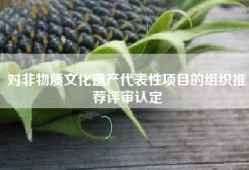 对非物质文化遗产代表性项目的组织推荐评审认定
