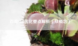 百度SEO优化要点解析（从概念）