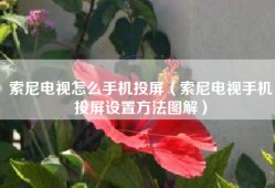 索尼电视怎么手机投屏（索尼电视手机投屏设置方法图解）