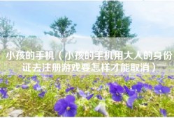 小孩的手机（小孩的手机用大人的身份证去注册游戏要怎样才能取消）