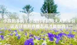 小孩的手机（小孩的手机用大人的身份证去注册游戏要怎样才能取消）