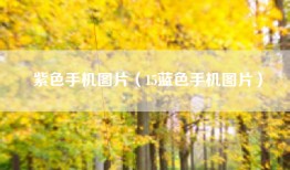 紫色手机图片（15蓝色手机图片）