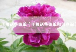 手机话费账单（手机话费账单如何查询）