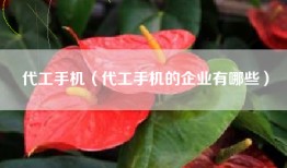 代工手机（代工手机的企业有哪些）