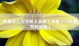 机票怎么在手机上选座（手机上订机票如何选座）