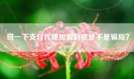 碰一下支付代理加盟到底是不是骗局？