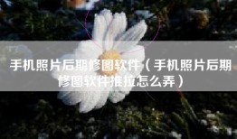 手机照片后期修图软件（手机照片后期修图软件推拉怎么弄）