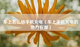车上怎么给手机充电（车上手机充电的地方在哪）