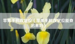 苹果手机改定位（苹果手机改定位能查出来吗）