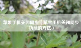苹果手机关闭同步（苹果手机关闭同步功能的方法）