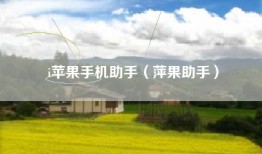 i苹果手机助手（萍果助手）