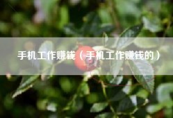 手机工作赚钱（手机工作赚钱的）