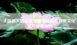 大田县入选各级非遗项目的非物质文化遗产有哪些？