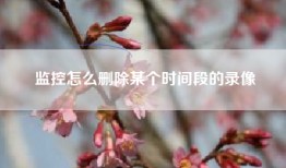 监控怎么删除某个时间段的录像