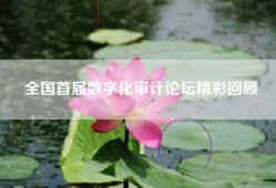 全国首届数字化审计论坛精彩回顾