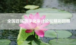全国首届数字化审计论坛精彩回顾