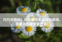 万万没想到！这些赚钱套路轻松搞钱，普通人也能狠狠逆袭！