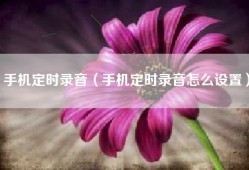 手机定时录音（手机定时录音怎么设置）