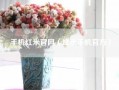 手机红米官网（红米手机官方）