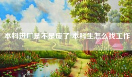 本科进厂是不是废了 本科生怎么找工作
