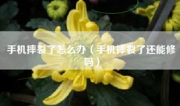 手机摔裂了怎么办（手机摔裂了还能修吗）