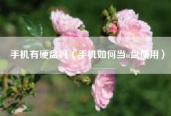 手机有硬盘吗（手机如何当u盘使用）
