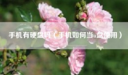 手机有硬盘吗（手机如何当u盘使用）