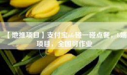 【地推项目】支付宝nfc碰一碰点餐，b端项目，全国可作业
