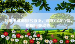 苏州关键词排名首页，洞察市场行情，把握行业动态