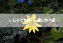 小红书怎么推广广告投放渠道