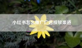 小红书怎么推广广告投放渠道