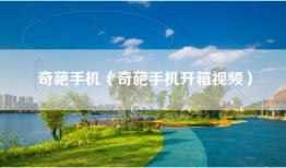 奇葩手机（奇葩手机开箱视频）