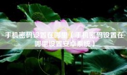 手机密码设置在哪里（手机密码设置在哪里设置安卓系统）