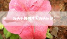 砖头手机图片（砖头头像）
