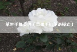苹果手机英语（苹果手机英语模式）