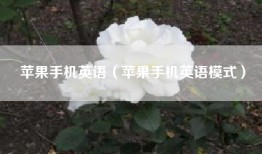 苹果手机英语（苹果手机英语模式）