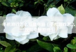 手机游戏怎么投屏电脑（手机游戏怎么投屏电脑游戏）