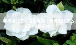 手机游戏怎么投屏电脑（手机游戏怎么投屏电脑游戏）
