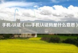 手机v认证（vivo手机认证码是什么意思）
