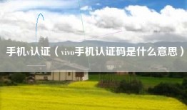 手机v认证（vivo手机认证码是什么意思）