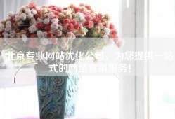 北京专业网站优化公司，为您提供一站式的网络营销服务！