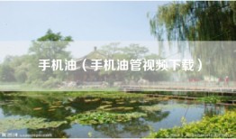 手机油（手机油管视频下载）